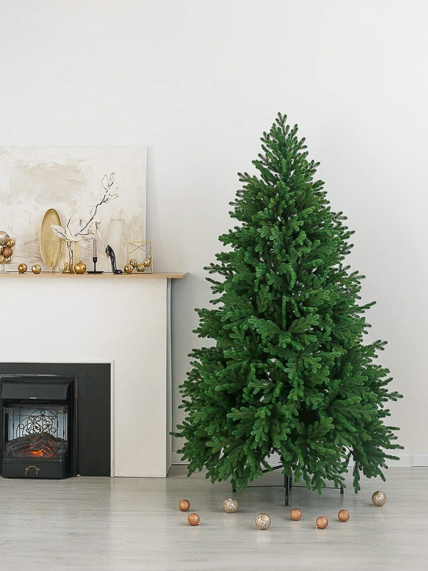 1qrgr3wrbzv9ferjz2amktn82ofocgag