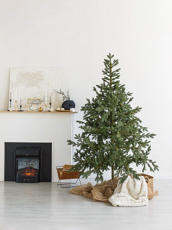 5fwl54gqk50gmo4to90cu8lv21suvihu