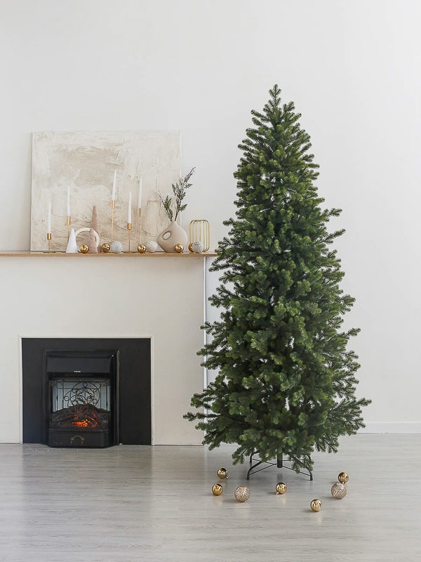 5iiirtn11xmqtnhijzrlz2buxpwq70sb