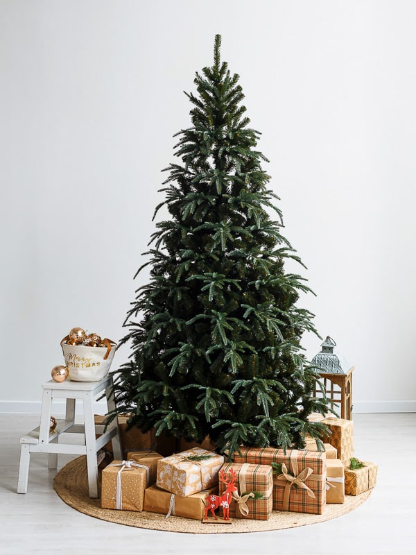 79b6advq9pfv9v50kebvy21d8j07dmqt