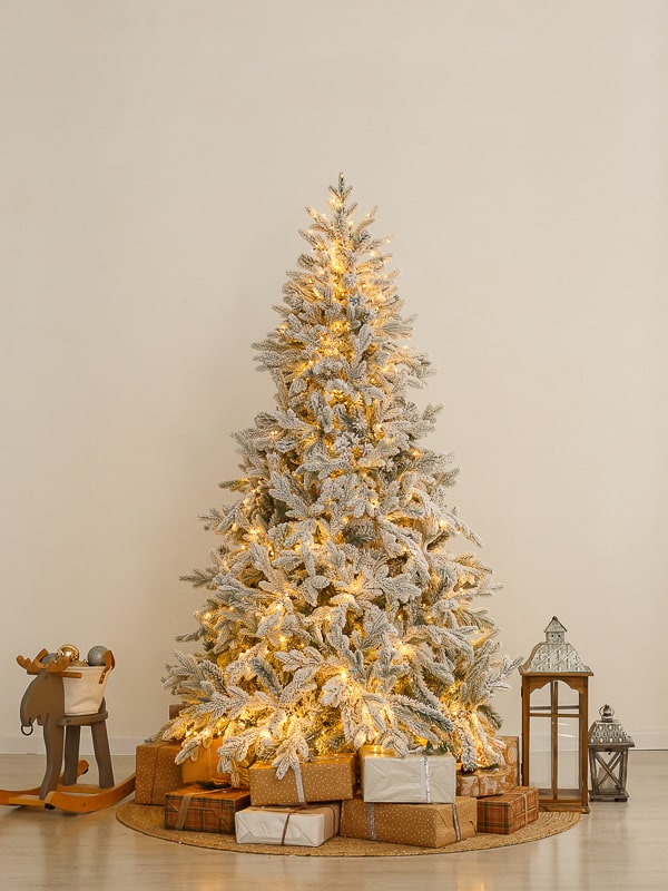 bl1vuo3cuwc99t16nbvzceh3q0c0b0md