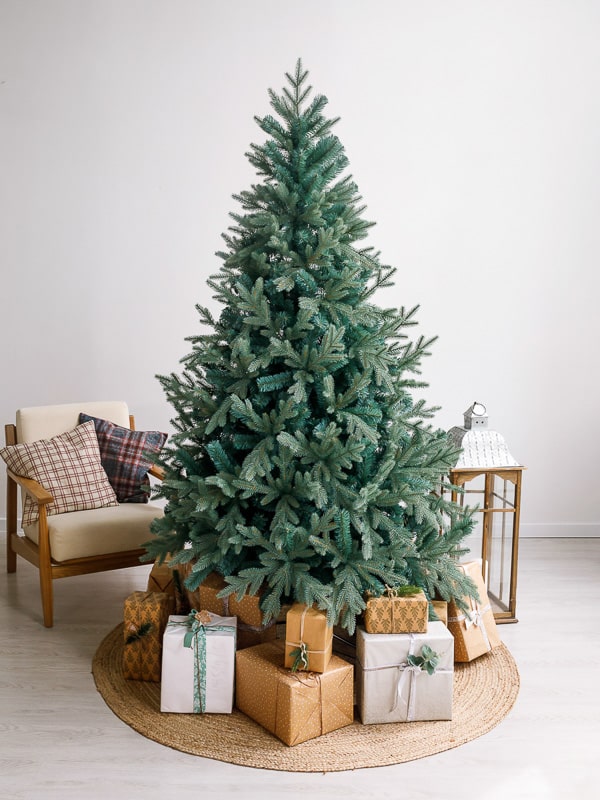 dmjbiqg2mpqjn46iw6zjarxmte0mrb9m