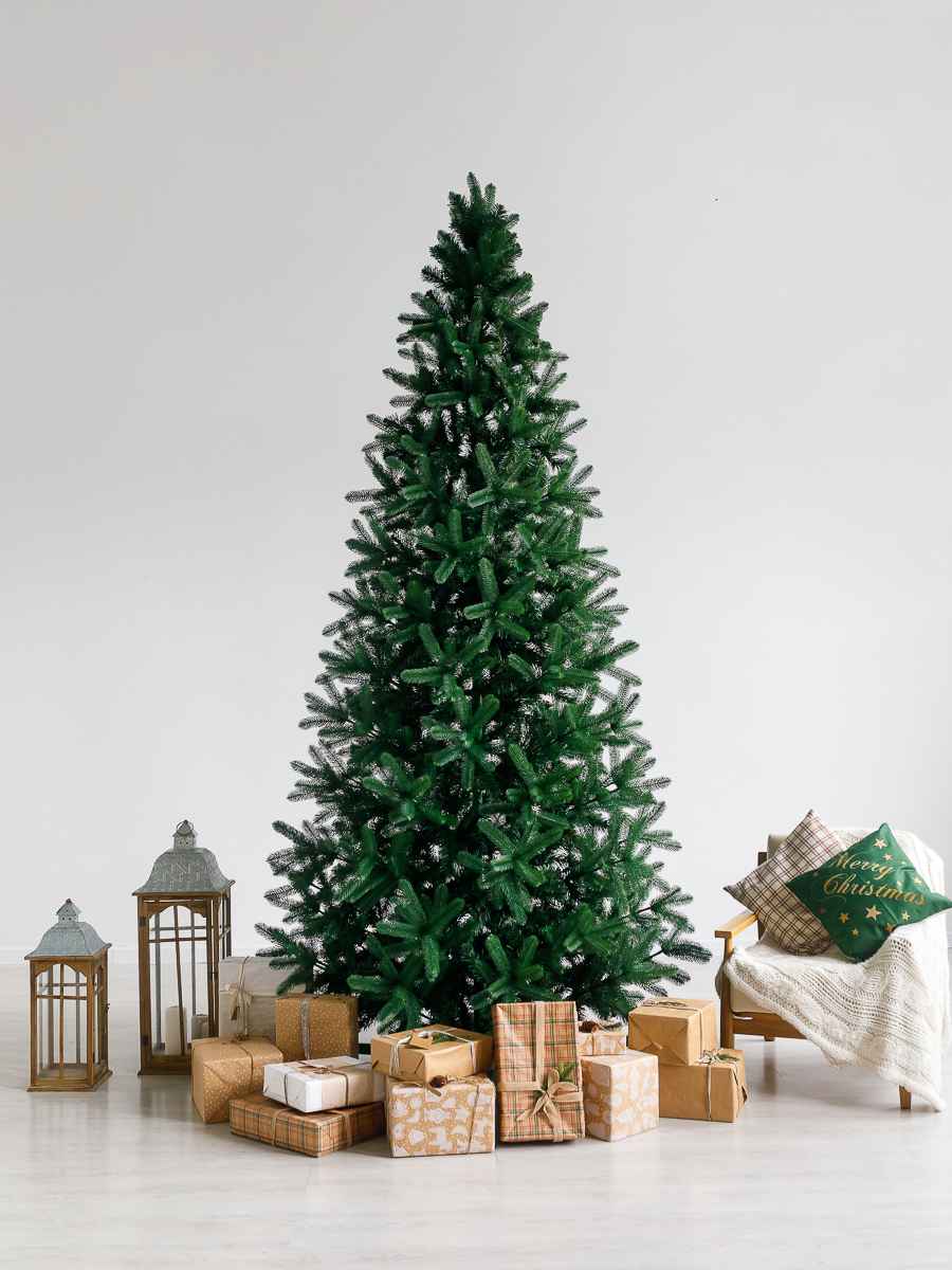 iexk4q2hojzz31h1cas0aiwu3ed82i0t_11zon