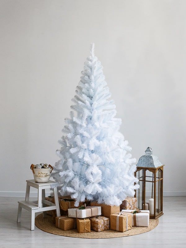 v4aqikrv6lok28xdcxie5nmv75e8zavo