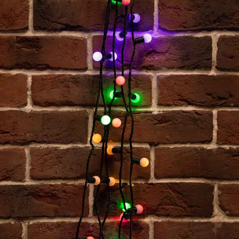 5e75c18e-816a-4b10-894e-7c2ae4db2189_11zon