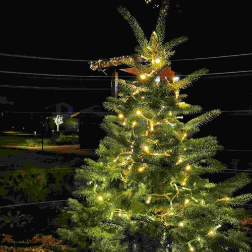 IMG_20221113_001520 — копия