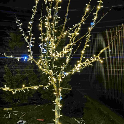 IMG_20230717_142056_582