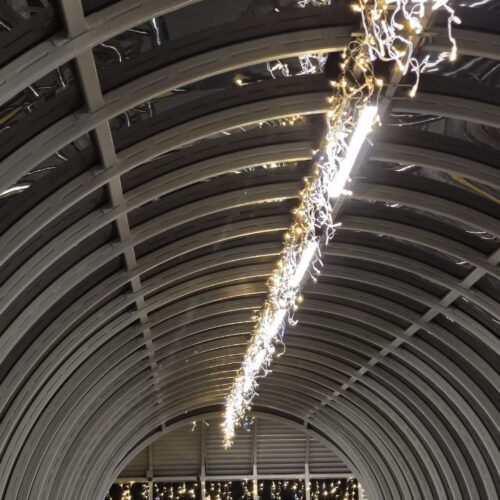 IMG_20250415_190819_027