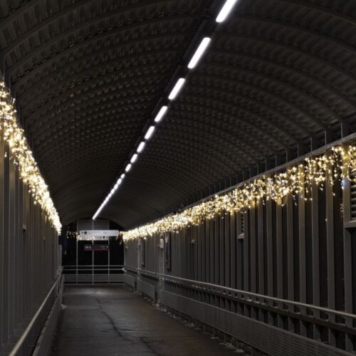 IMG_20250415_190819_080