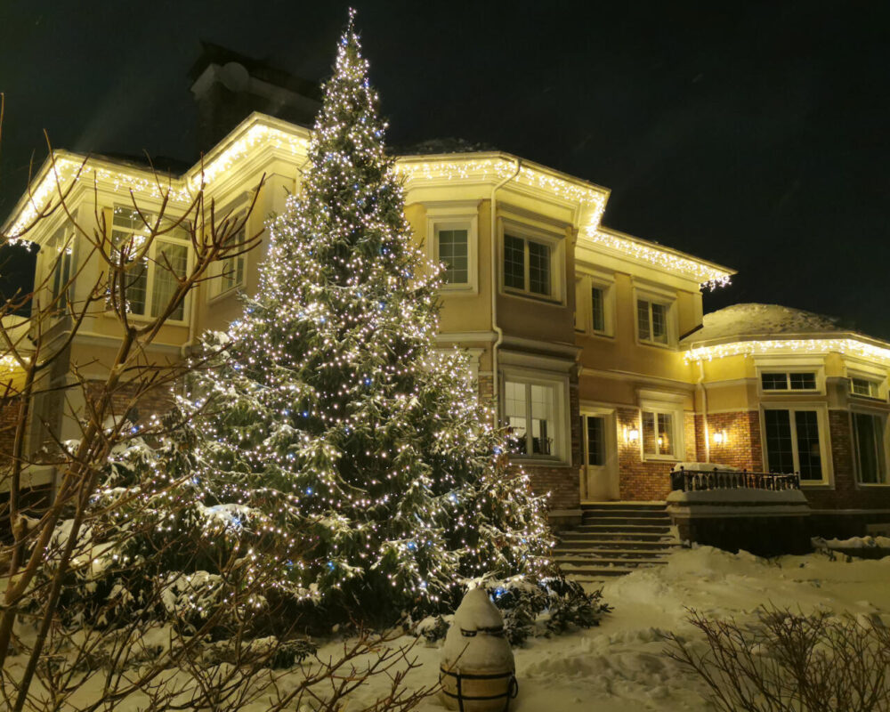 Вид украшенного новогодней подсветкой коттеджа и уличной ели – работа выполнена компанией Joyled, г Москва